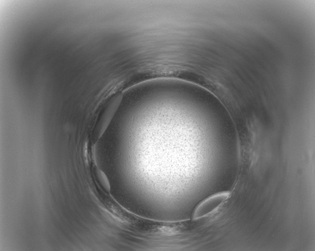 X0000054460166200508052000