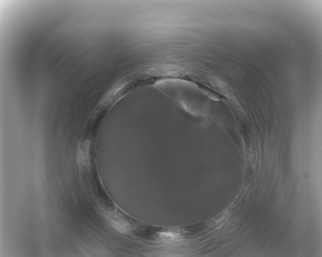 X0000054460167200508052000