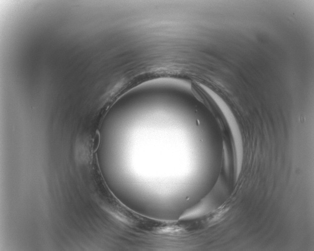 X0000054460168200508052000