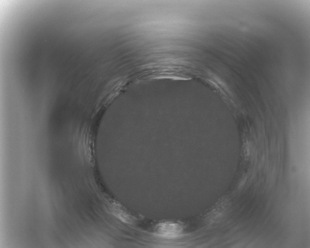 X0000054460169200508052000