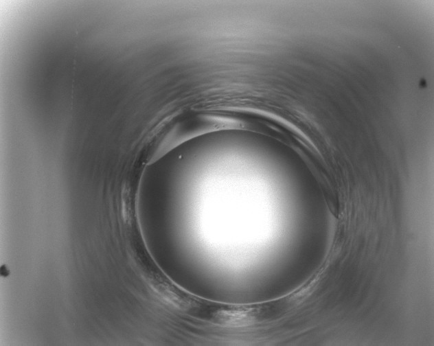 X0000054460170200508052000