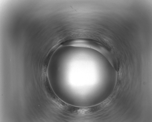 X0000054460172200508052000