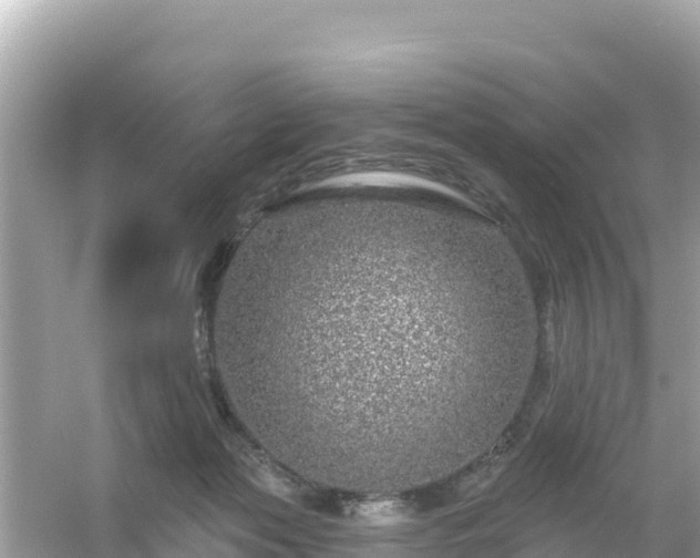 X0000054460173200508052000