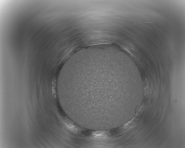 X0000054460175200508052000