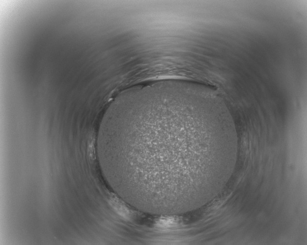 X0000054460177200508052000