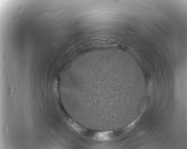 X0000054460178200508052000