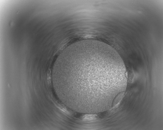 X0000054460179200508052000