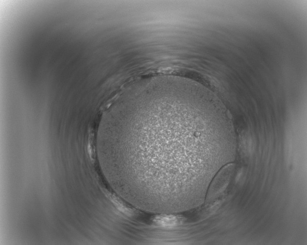 X0000054460181200508052000