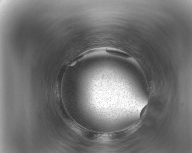 X0000054460182200508052000