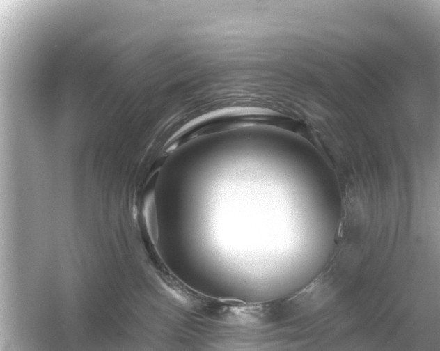 X0000054460188200508052000