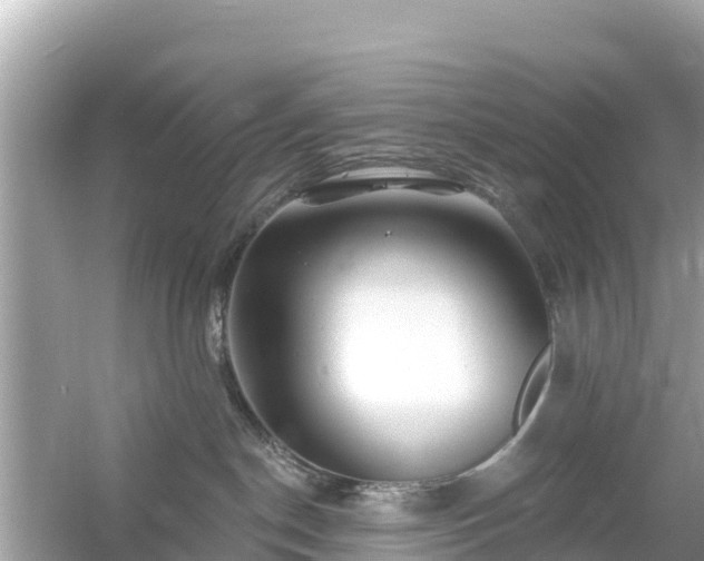 X0000054460190200508052000