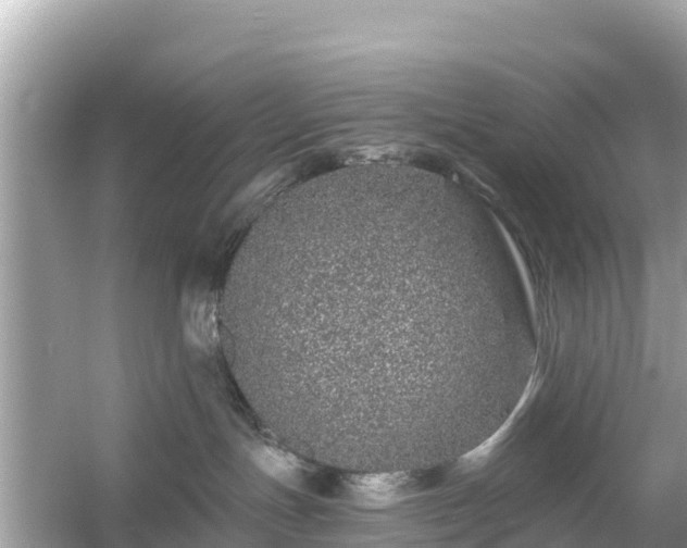 X0000054460191200508052000