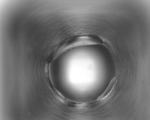 X0000054460192200508052000