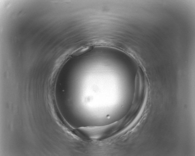 X0000054460193200508052000