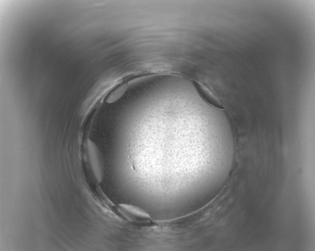 X0000054460194200508051959