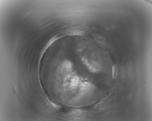 X0000054460195200508051959