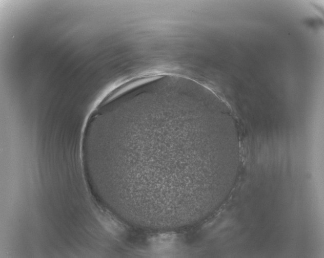 X0000054460196200508051959