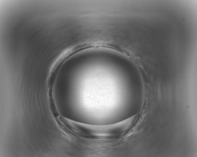 X0000054460197200508051959