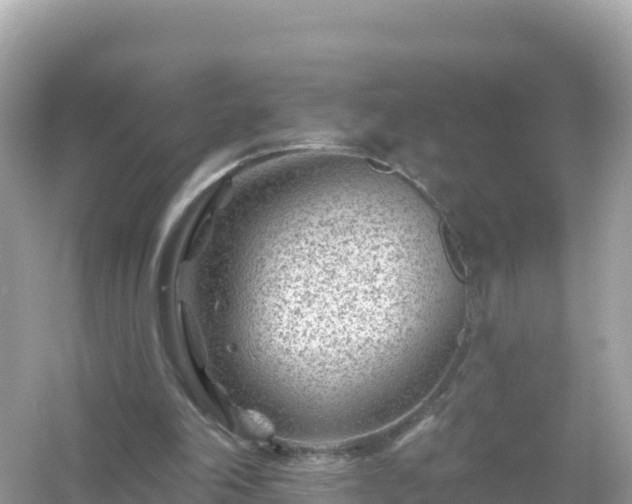 X0000054460198200508051959