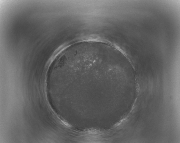 X0000054460199200508051959