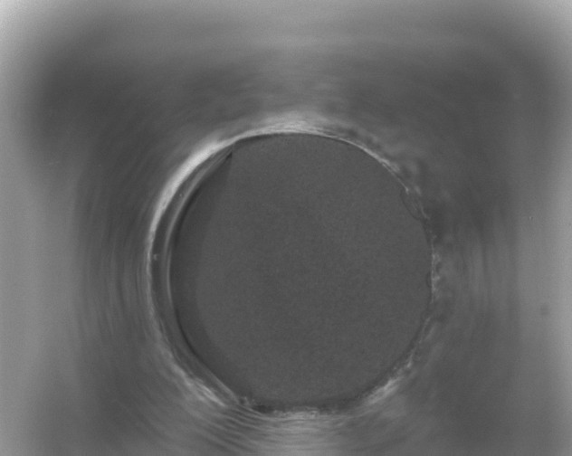 X0000054460200200508051959