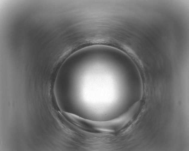 X0000054460201200508051959