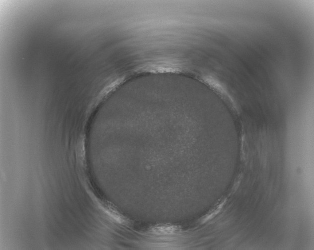 X0000054460202200508051959