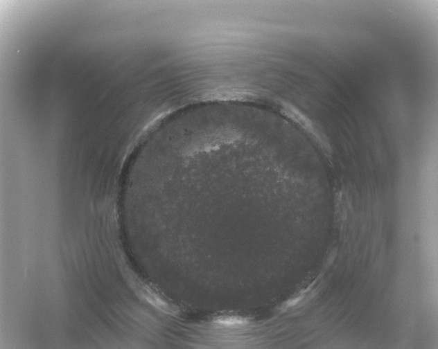 X0000054460203200508051959