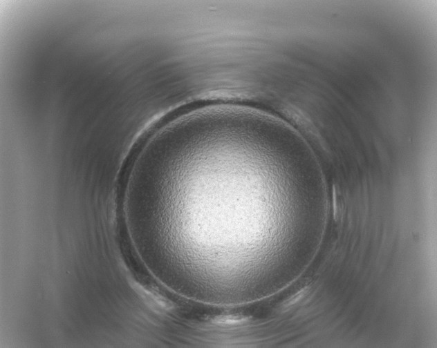 X0000054460204200508051959