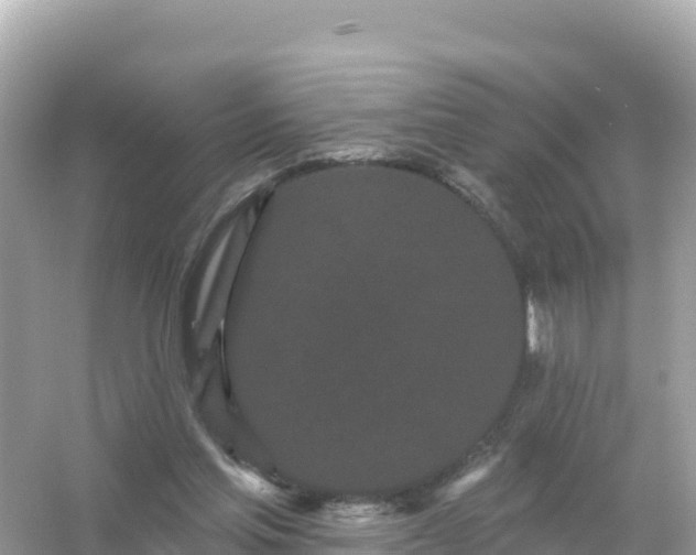 X0000054460205200508051959