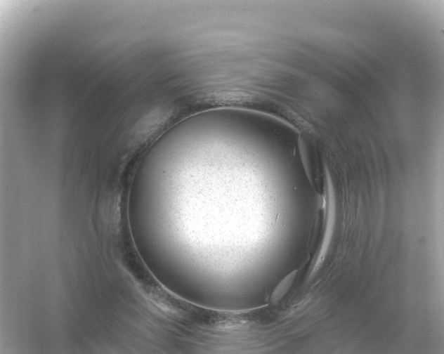 X0000054460206200508051959