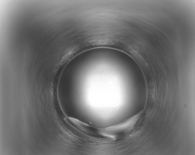 X0000054460207200508051959