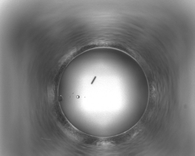 X0000054460208200508051959