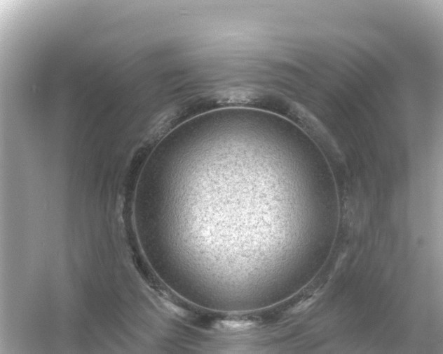 X0000054460209200508051959