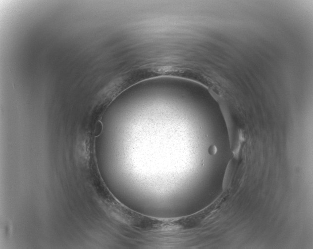 X0000054460210200508051959