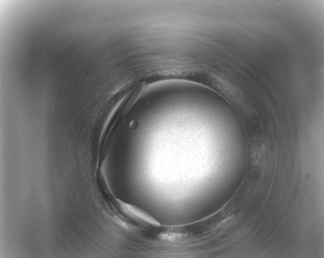 X0000054460211200508051959