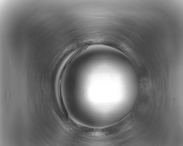 X0000054460212200508051959