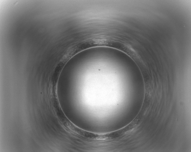 X0000054460213200508051959