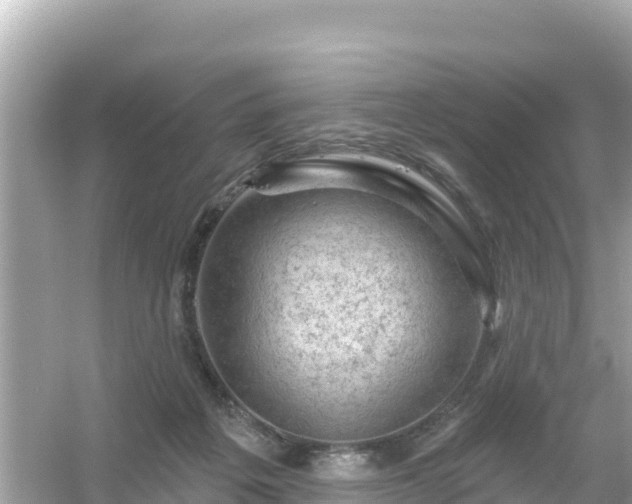 X0000054460217200508051959