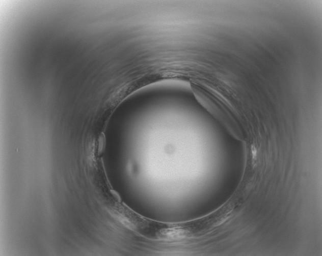 X0000054460219200508051959