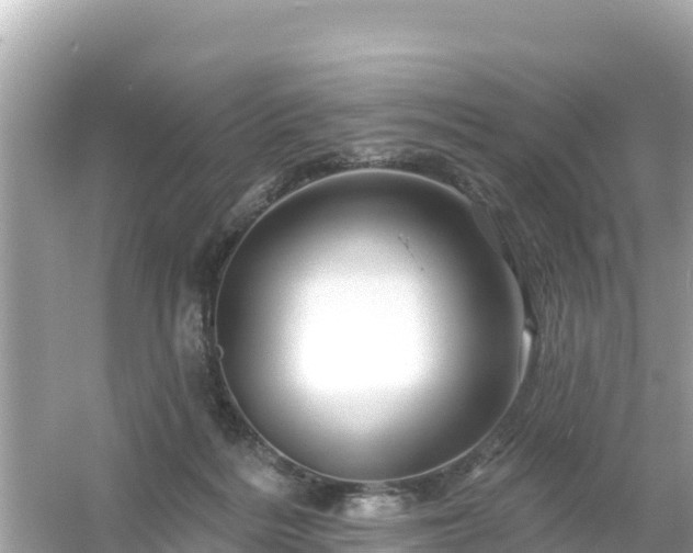 X0000054460220200508051959