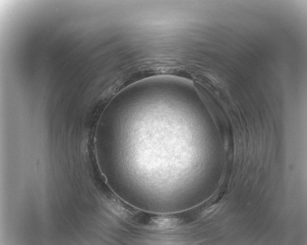 X0000054460221200508051959