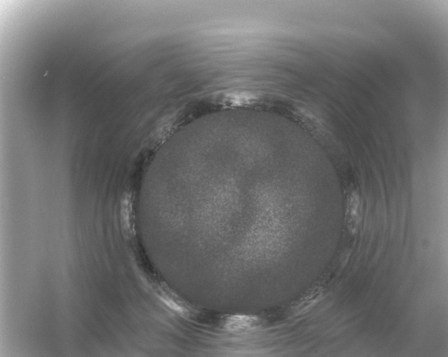 X0000054460222200508051959