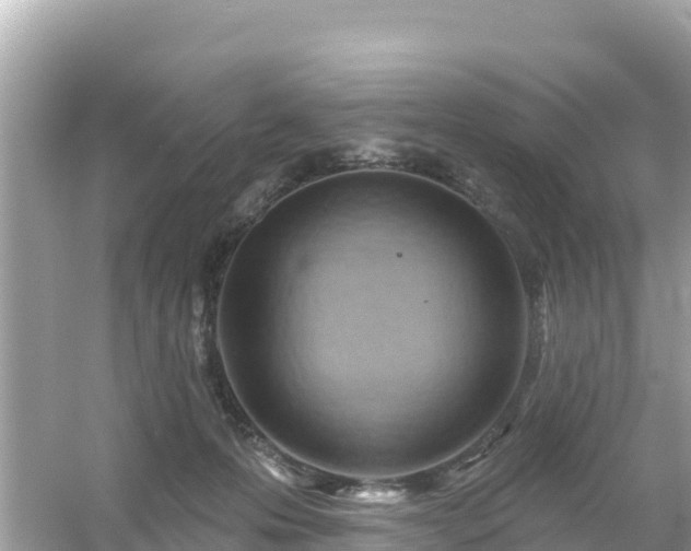 X0000054460223200508051959