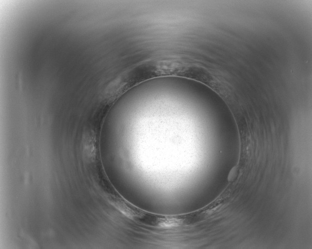 X0000054460226200508051959