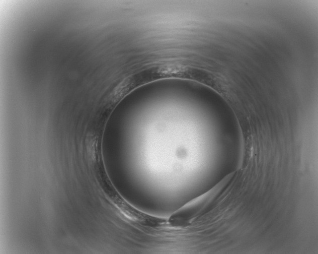 X0000054460227200508051959