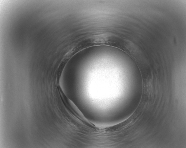 X0000054460228200508051959