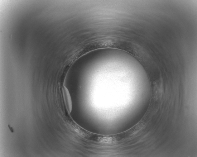 X0000054460230200508051959