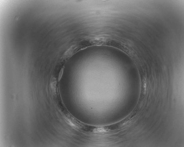 X0000054460231200508051959