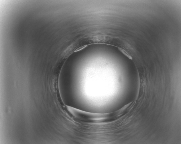 X0000054460233200508051959